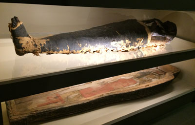 Picture from Albany Institute of History and Art's mummy exhibit. Courtesy of Dena Leonelli '15.